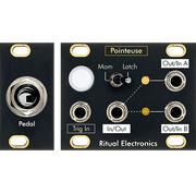 Ritual Electronics Pointeuse